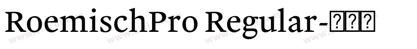 RoemischPro Regular字体转换 RoemischPro Regular字体转换